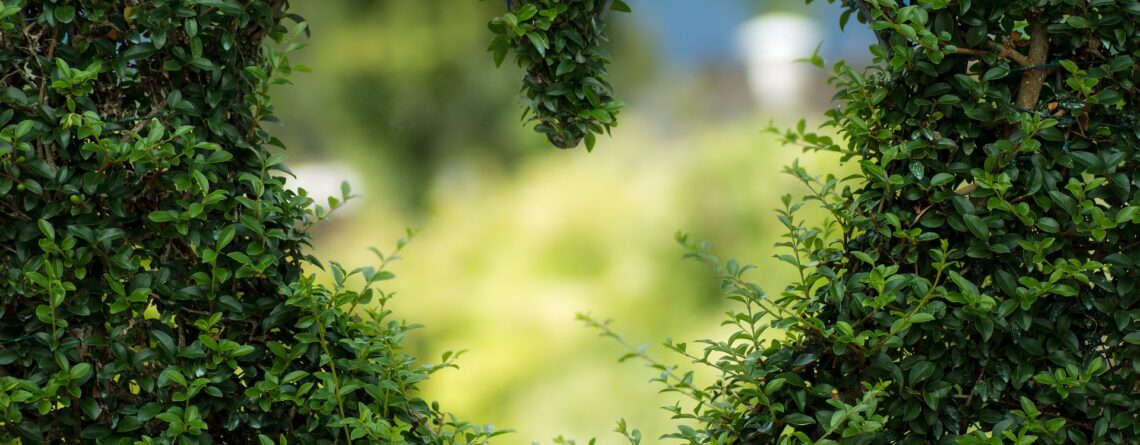 Garden Features