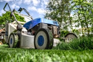 Property Maintenance
