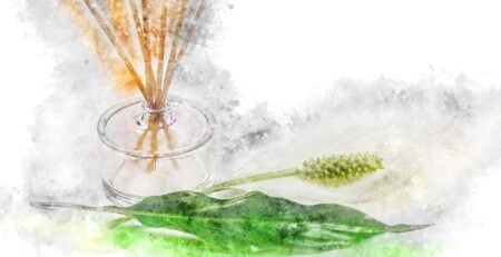 Do Scents Help to Sell Homes